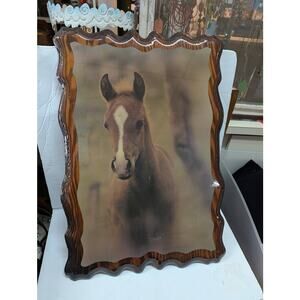 Vintage 1970 Foal Horse Cowboy Western Shellac Wood Large Wall Plaque Equestrian
